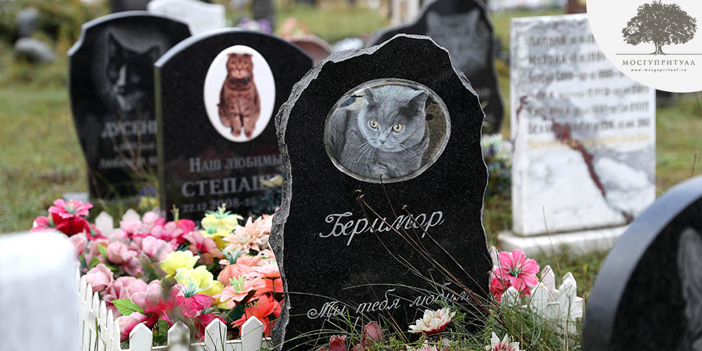 Похороны домашних животных: как и где провести по правилам